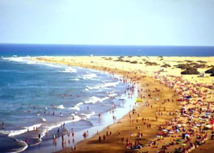 Caribe 530